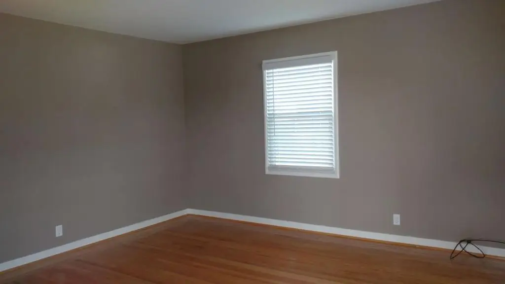 36871 Locust Street, Newark, CA 94560 - #1