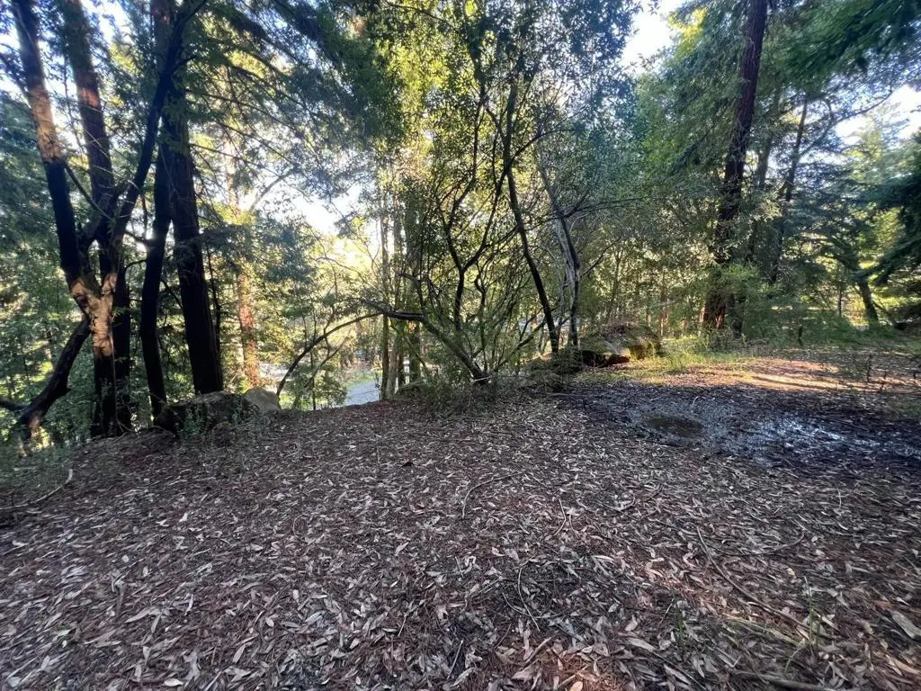559 Patrol Road, Woodside, CA 94062 - #1