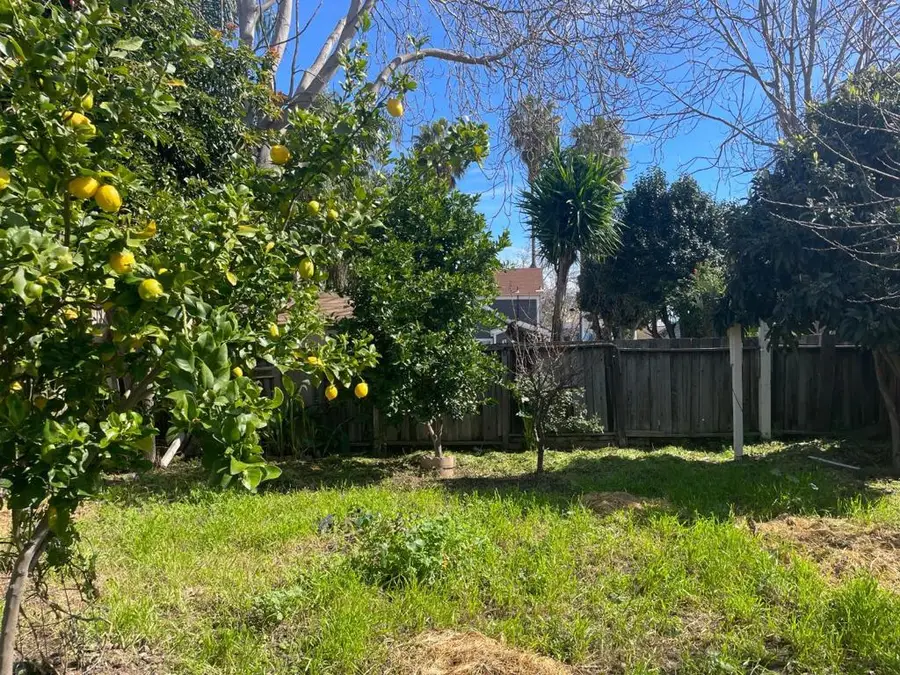 516 Bird Avenue, San Jose, CA 95125 - #3