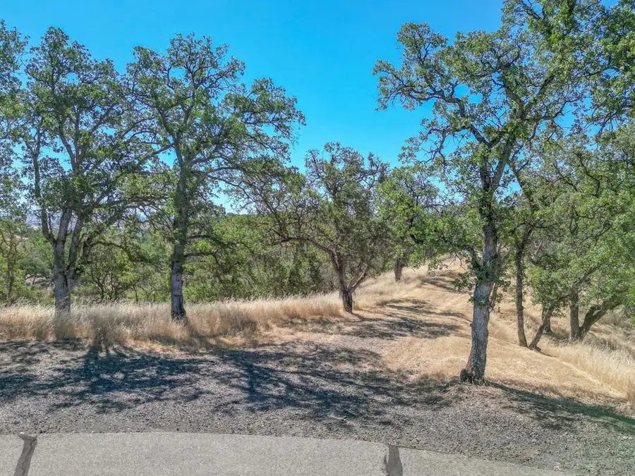 0 Wood Duck Pass Road, Red Bluff, CA 96080 - #3