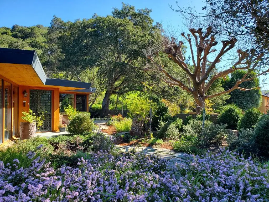 9 Story Road, Carmel Valley, CA 93924 - #1