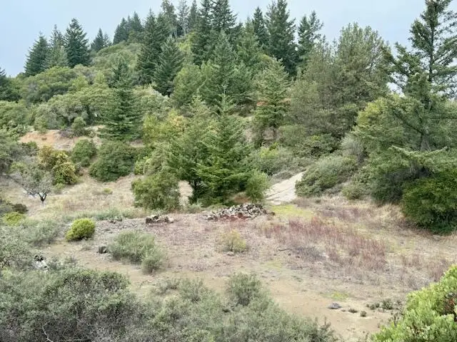 105 Silverline Road, Los Gatos, CA 95033 - #2