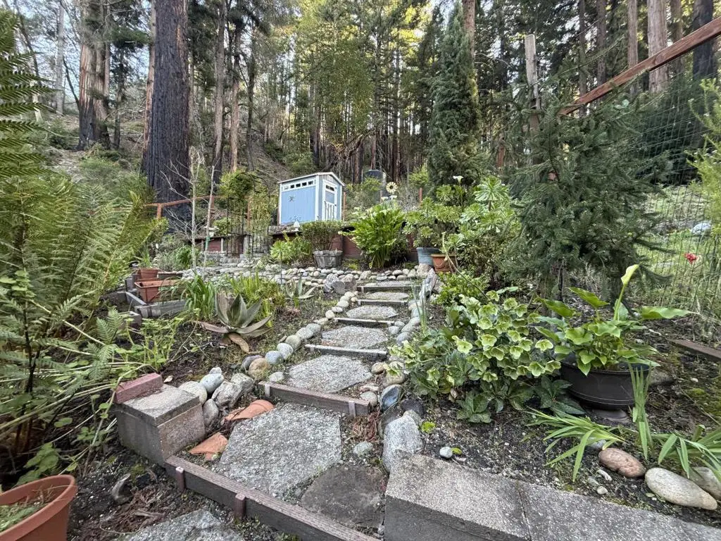 535 Burnside, Boulder Creek, CA 95006 - #1