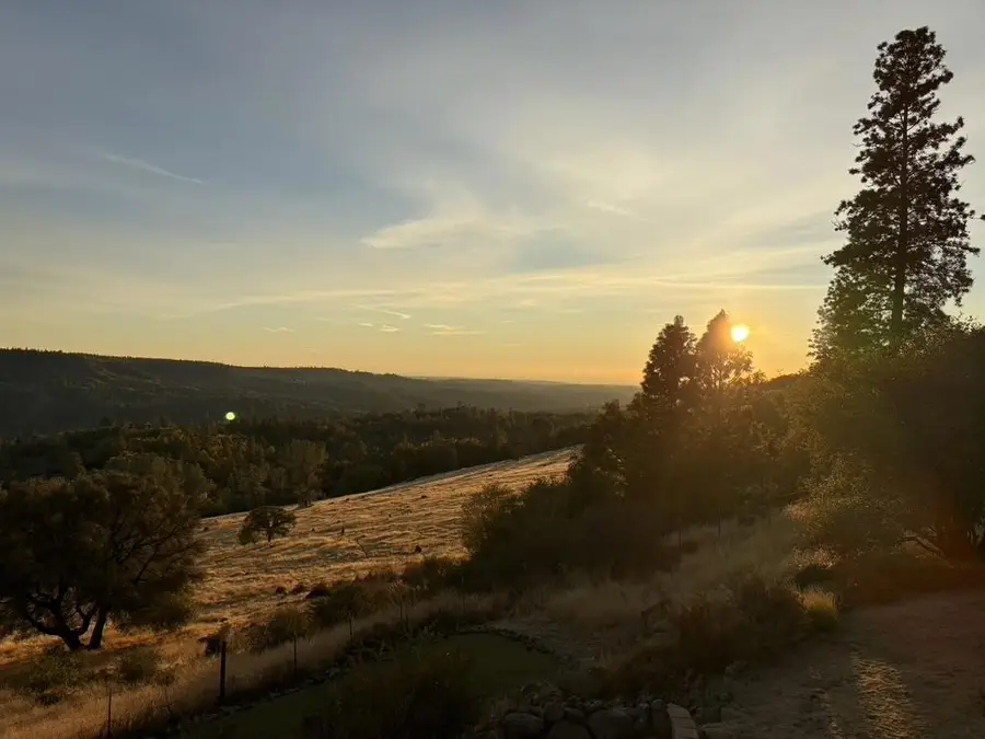 19670 Camino Del Aparicio, Fiddletown, CA 95629 - #3