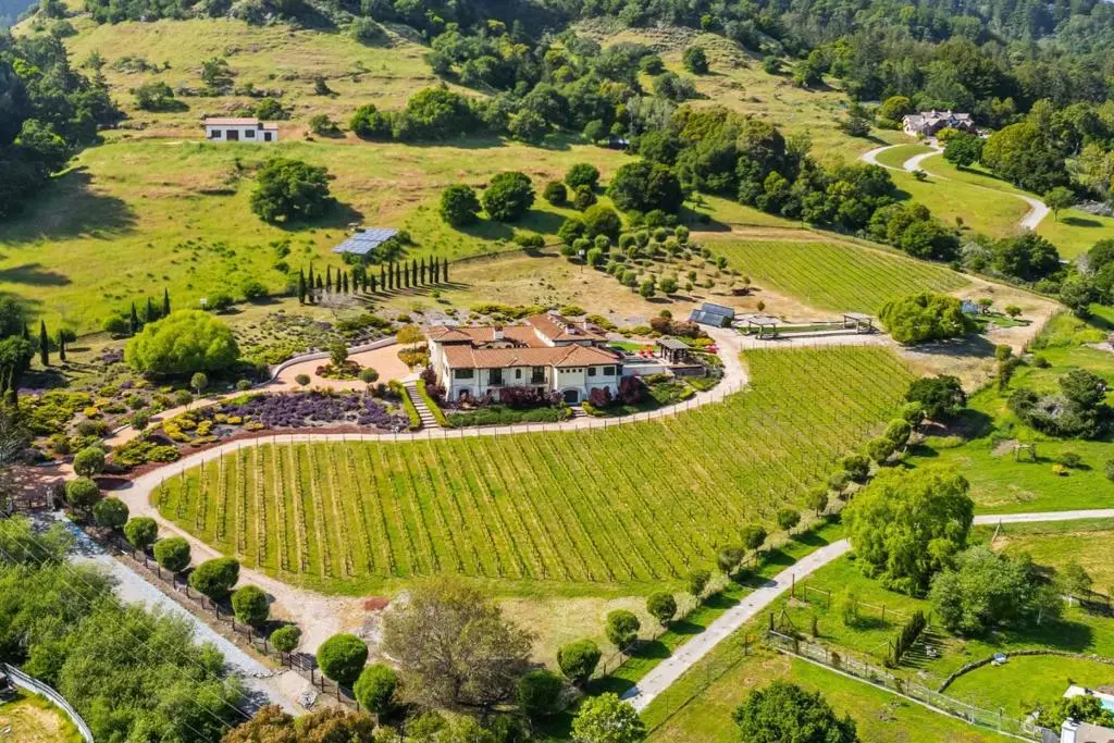 220 Falcon, Santa Cruz, CA 95065 - #1