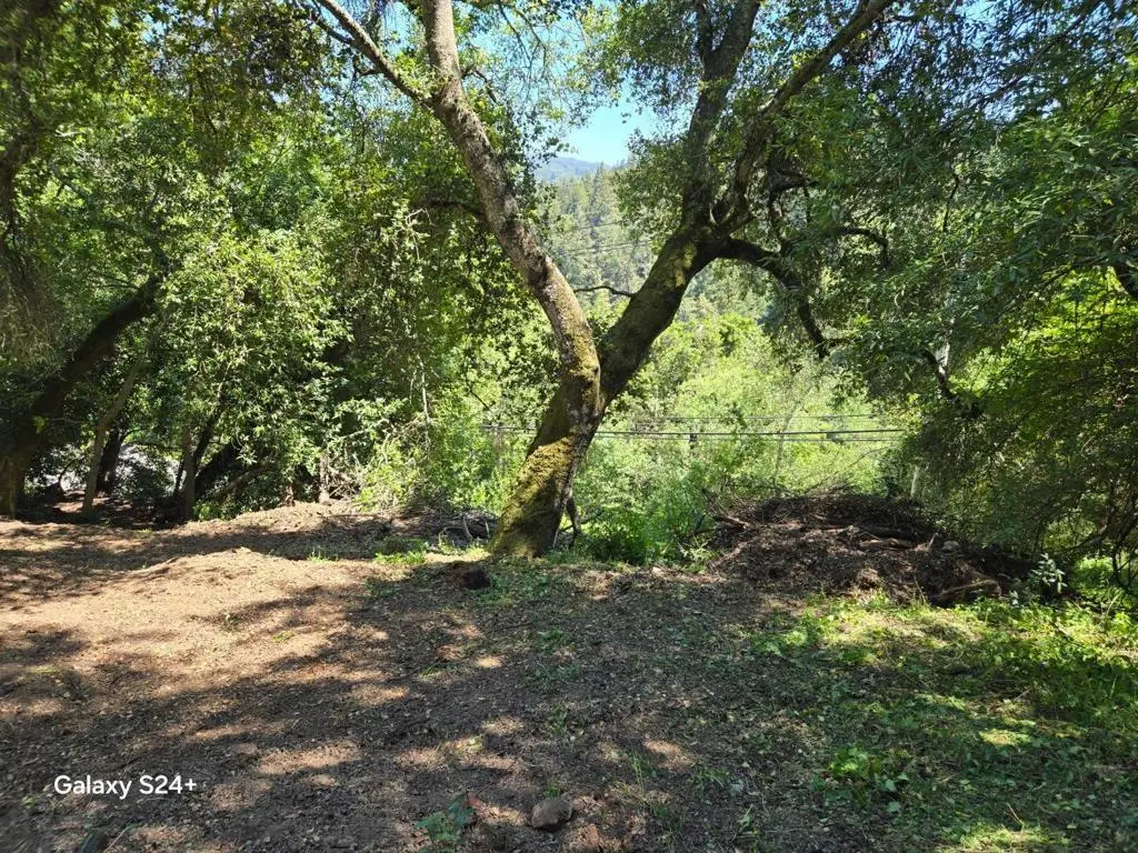Address Withheld By Seller, Los Gatos, CA 95033 - #1
