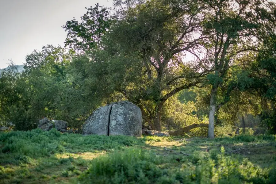 13804205 Pennyroyal Lane, Prather, CA 93651 - #3