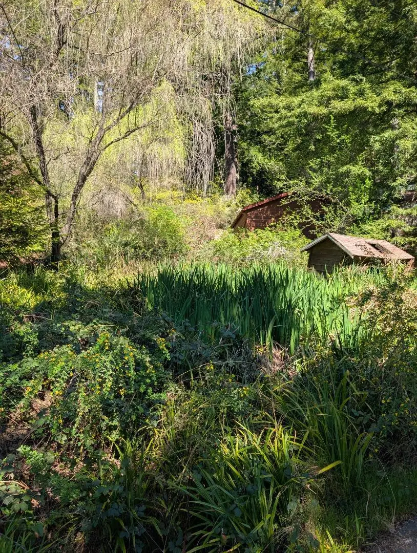 227 Old Ranch Road, Redwood City, CA 94062 - #3