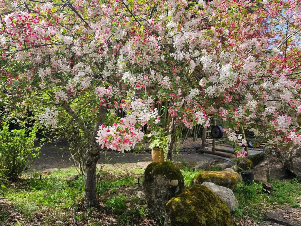 5601 Freedom Boulevard, Aptos, CA 95003 - #1