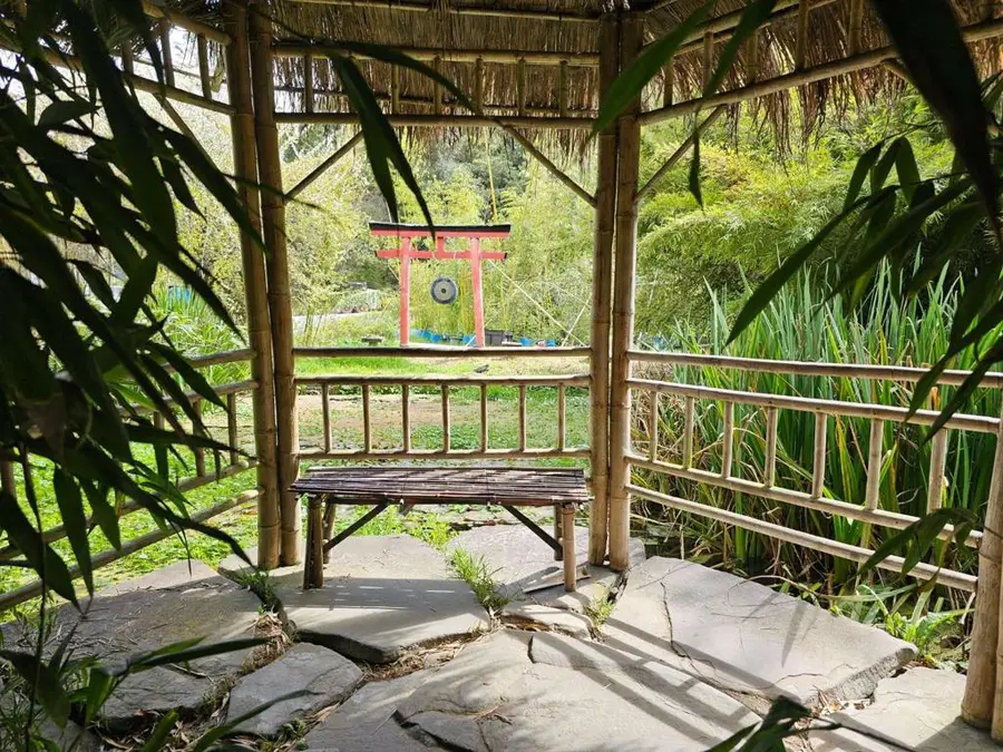 5601 Freedom Boulevard, Aptos, CA 95003 - #3