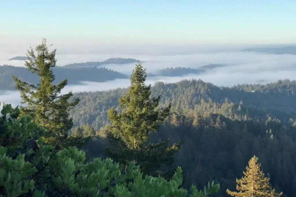 Skyview Ridge Road, Boulder Creek, CA 95006 - #1