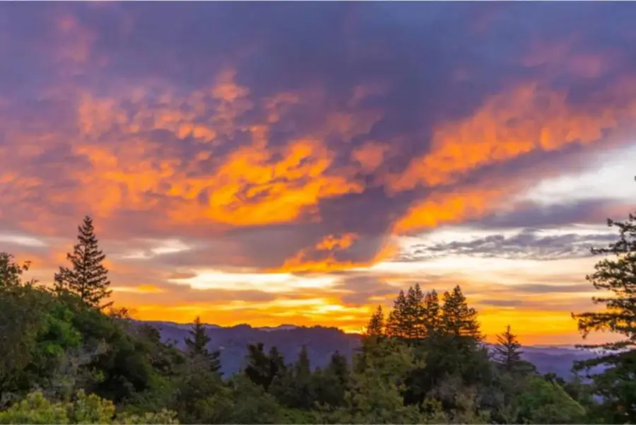 Skyview Ridge Road, Boulder Creek, CA 95006 - #2