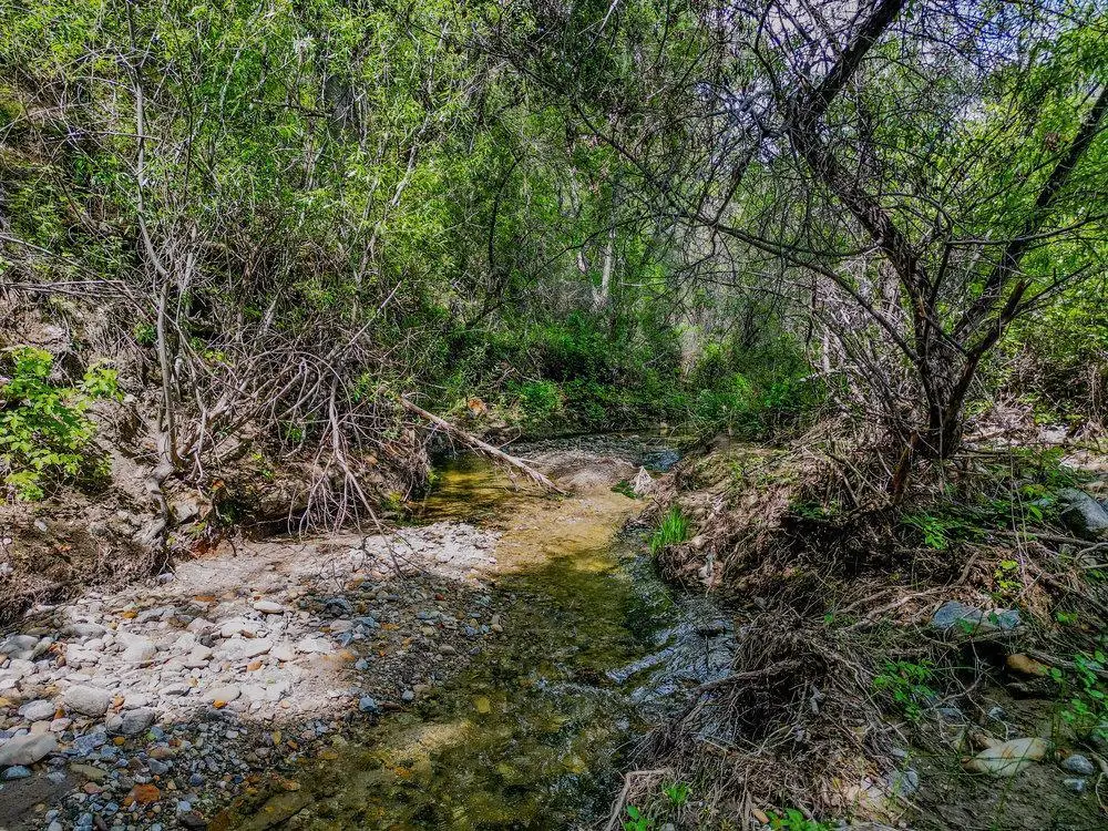 43575 Carmel Valley Road, Greenfield, CA 93927 - #1