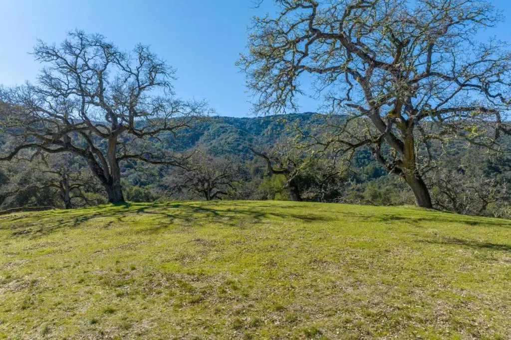 25 Arroyo Sequoia (lot 108), Carmel, CA 93923 - #1