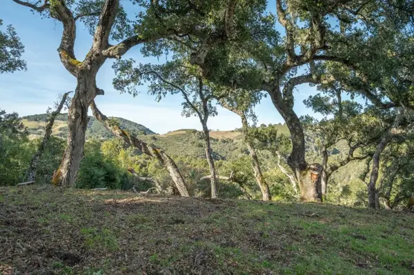 5 Vasquez (lot 170) Trail, Carmel Valley, CA 93923