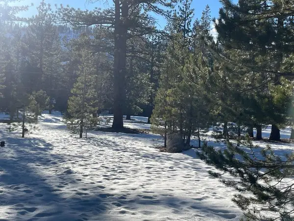 2510 Blitzen Road, South Lake Tahoe, CA 96150