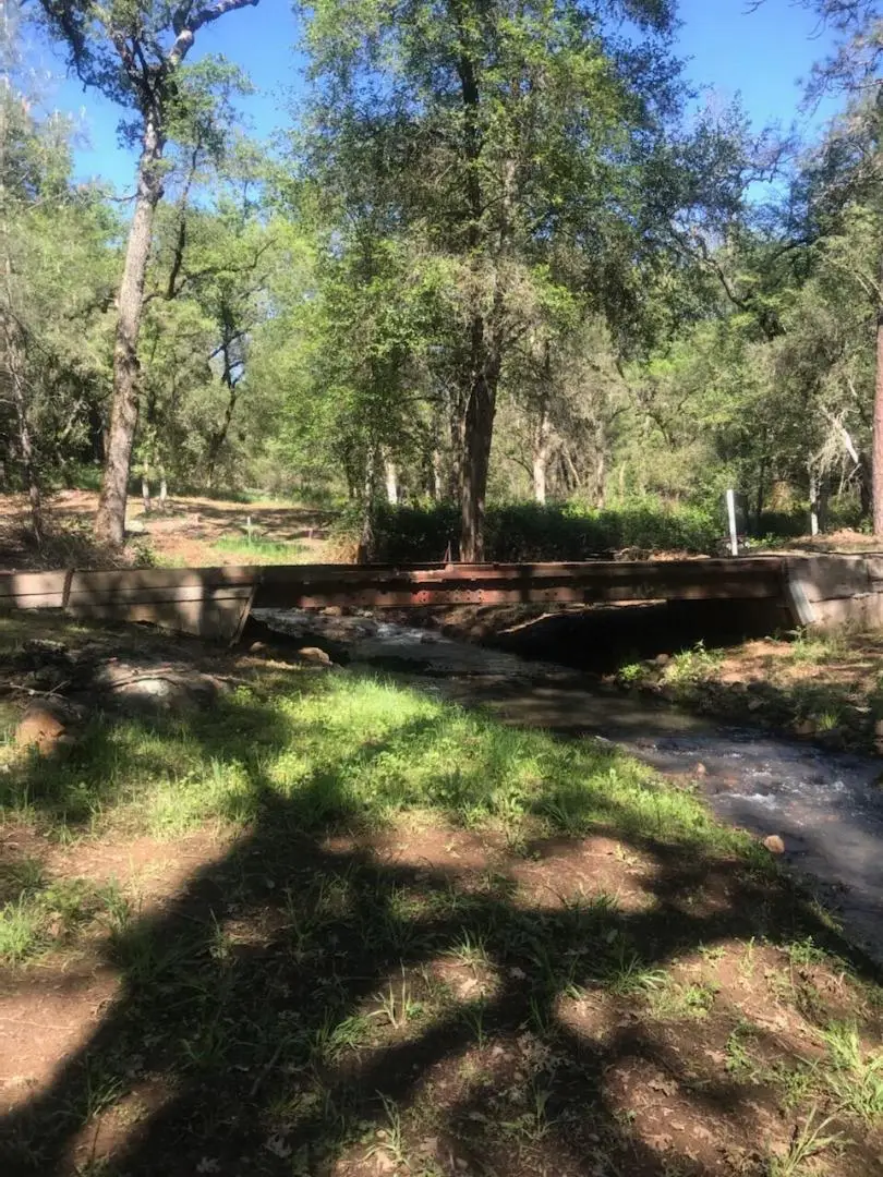10255 Turkey Trot Place, Grass Valley, CA 95949 - #1