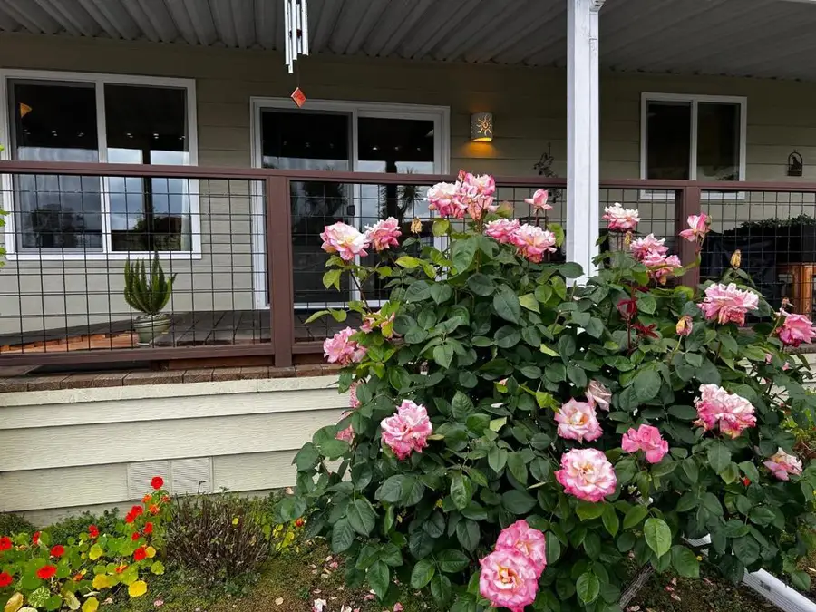 2435 Felt Street, Santa Cruz, CA 95062 - #3