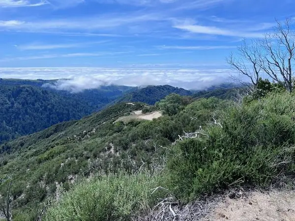 10 Long Ridge, Palo Colorado Road, Carmel, CA 93923