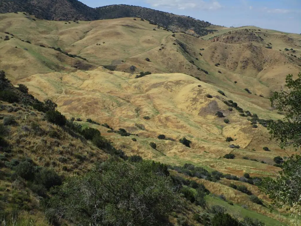 0 New Idria Road, Paicines, CA 95043 - #1