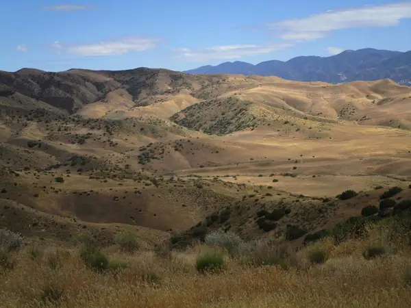 0 New Idria Road, Paicines, CA 95043