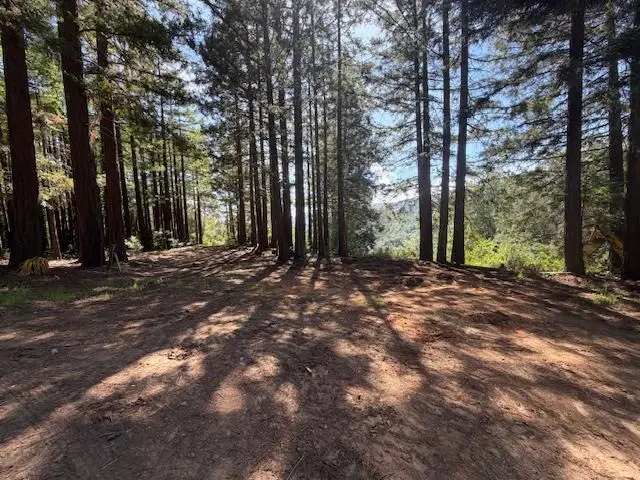 7175 Redwood Retreat, Gilroy, CA 95020 - #2