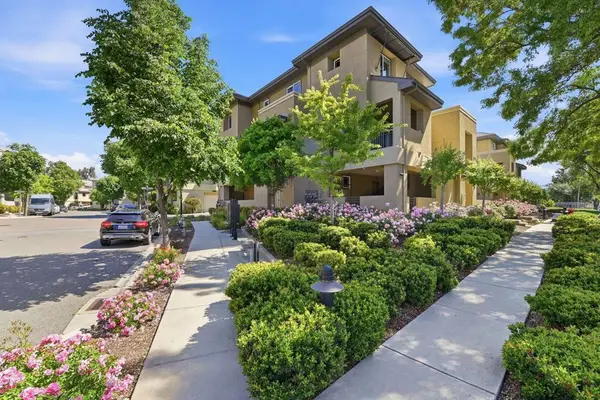3720 Feather Lane, Palo Alto, CA 94303