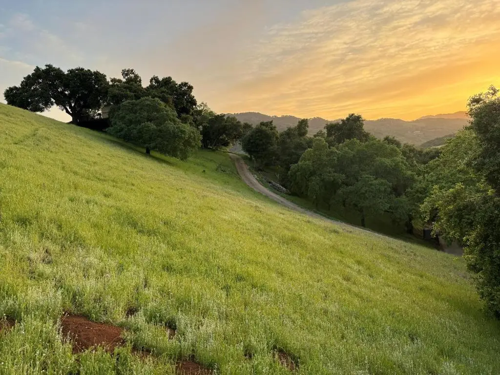 2328 Dahlberg Drive, Morgan Hill, CA 95037 - #1