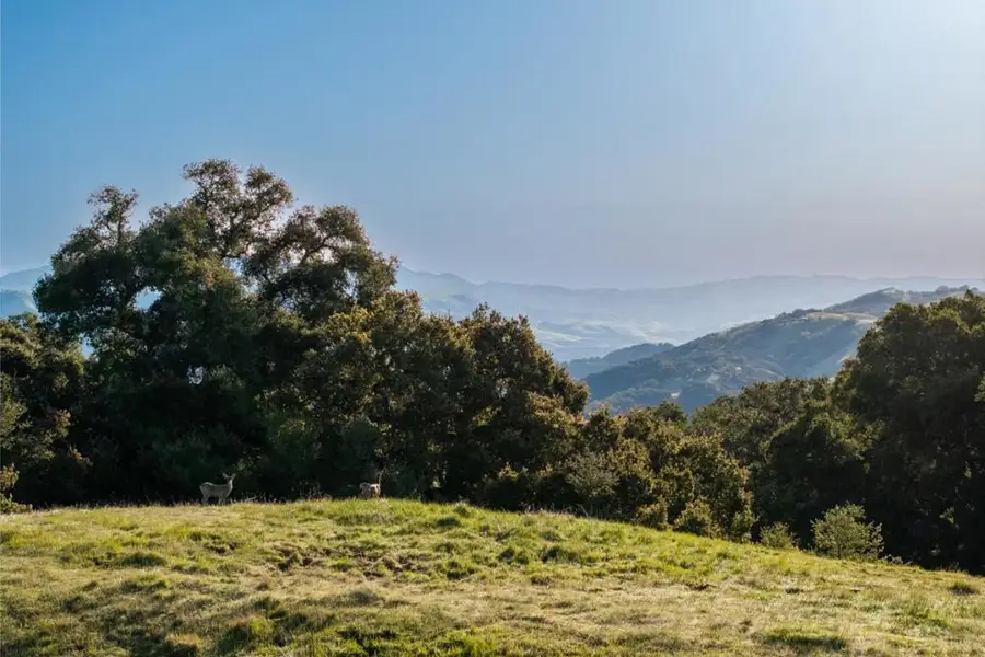 52 Chamisal Pass (lot 136), Carmel, CA 93923 - #3