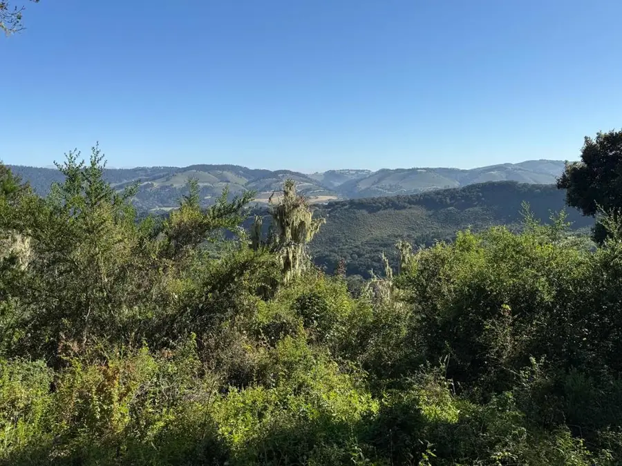 6 Rancho San Carlos (lot E10) Road, Carmel, CA 93923 - #2