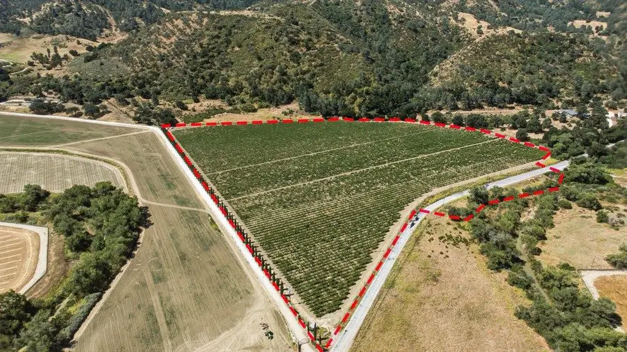 Cienega Road, Hollister, CA 95023 - #3