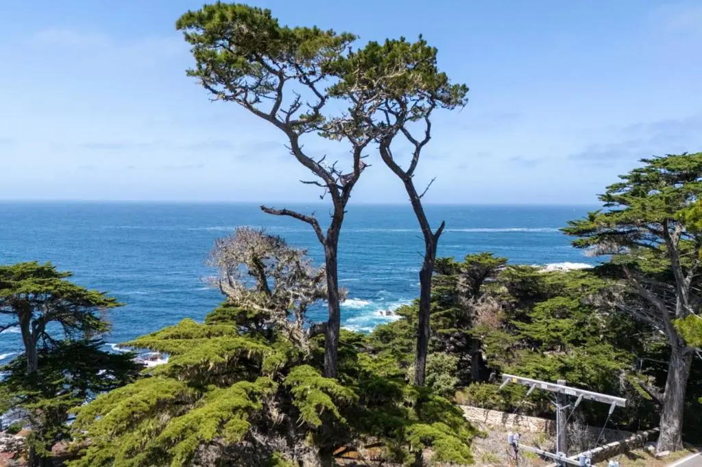 3245 17 Mile Drive, Pebble Beach, CA 93953 - #1
