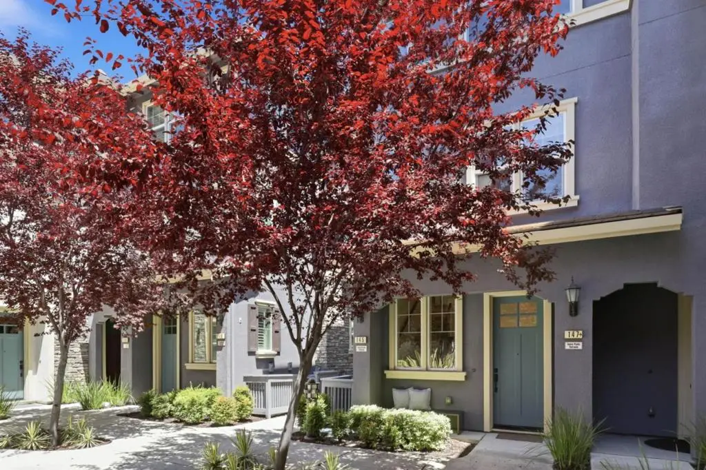 145 Ivory Palm Terrace, Sunnyvale, CA 94086 - #1