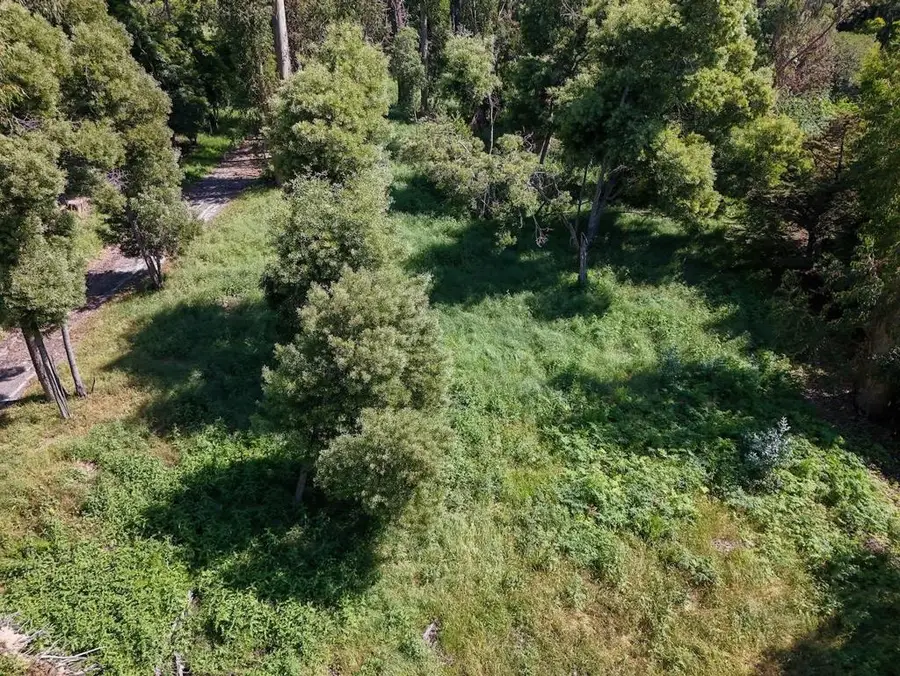 25 Fagan Drive, Hillsborough, CA 94010 - #2