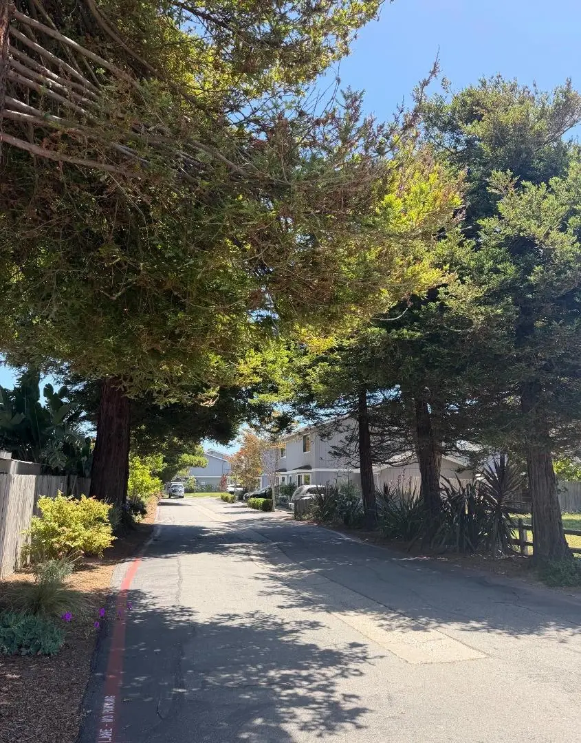 3925 Bramble Lane #B, Santa Cruz, CA 95062 - #2