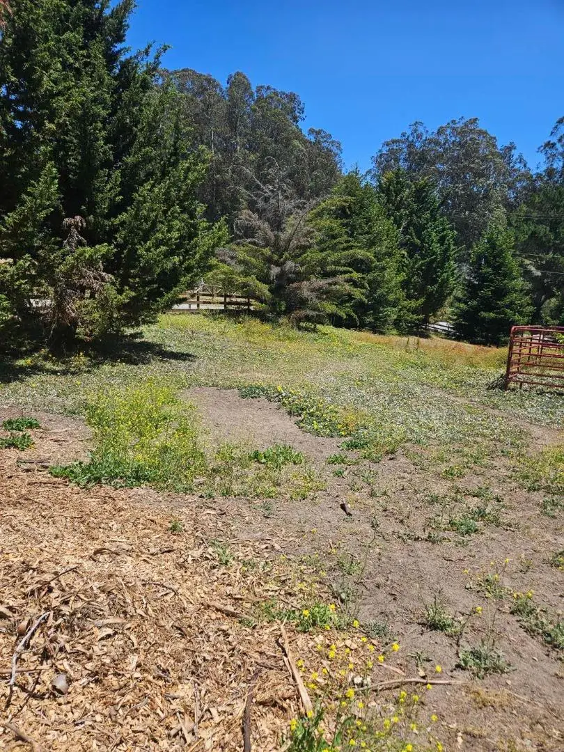 603 Carpenteria Road, Aromas, CA 95004 - #2