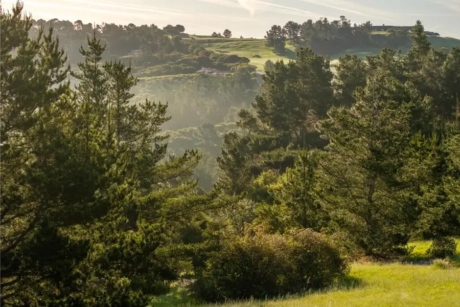 7925 Cinquenta (lot 97), Carmel, CA 93923 - #3