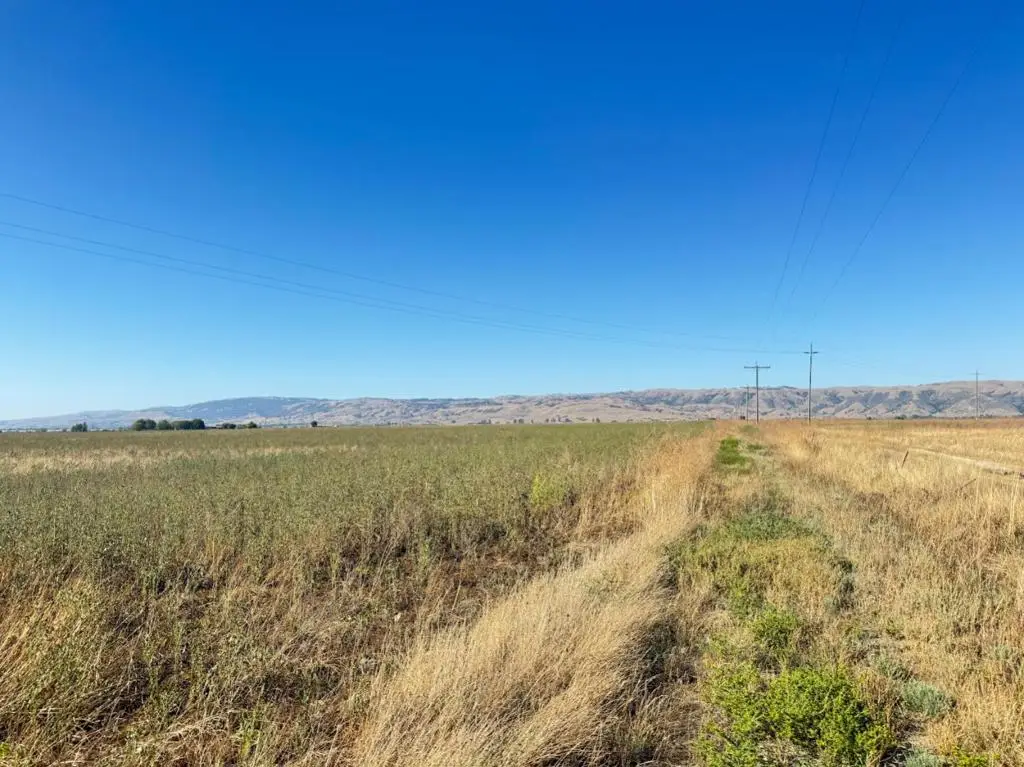 0 Bolsa Road, Hollister, CA 95023 - #1