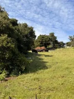 1 Little Merrill Road, San Juan Bautista, CA 95045 - #2