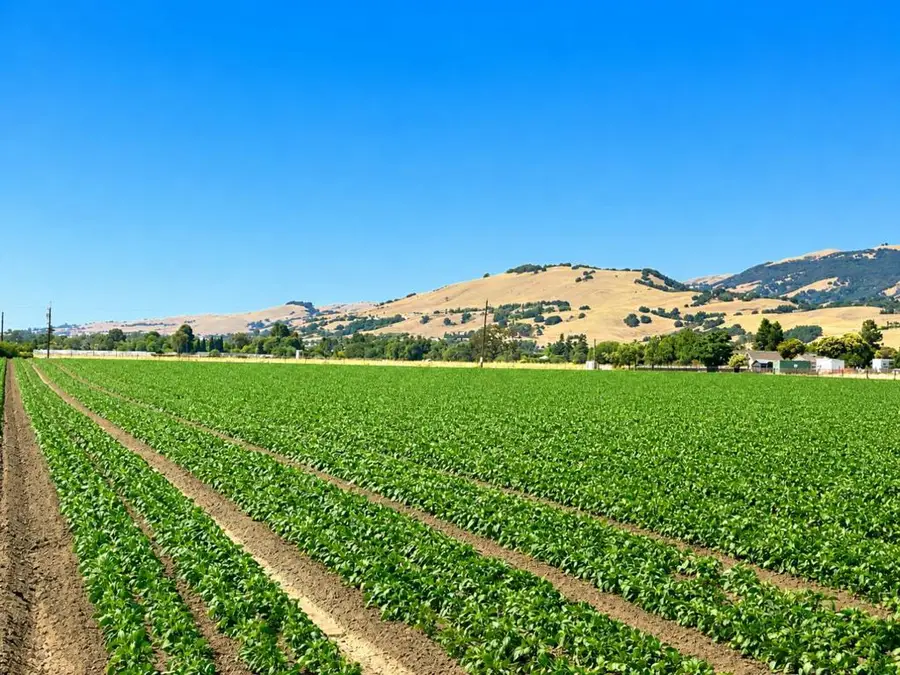 7340 Crews Road, Gilroy, CA 95020 - #2