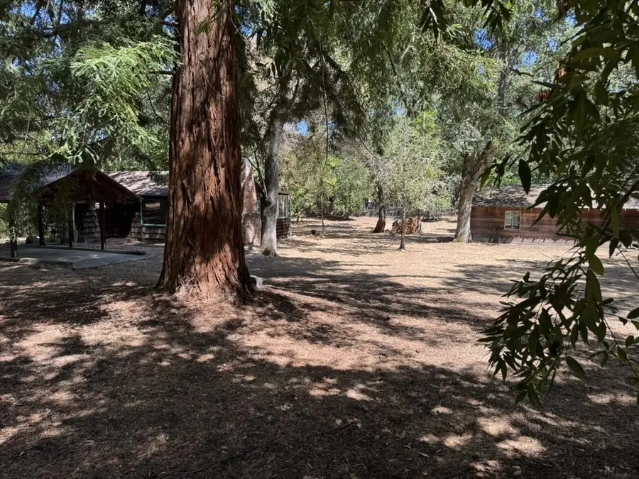 245 Bonita Road, Portola Valley, CA 94028 - #3
