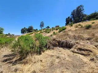 51230 Oak Hills Road, King City, CA 93930 - #2