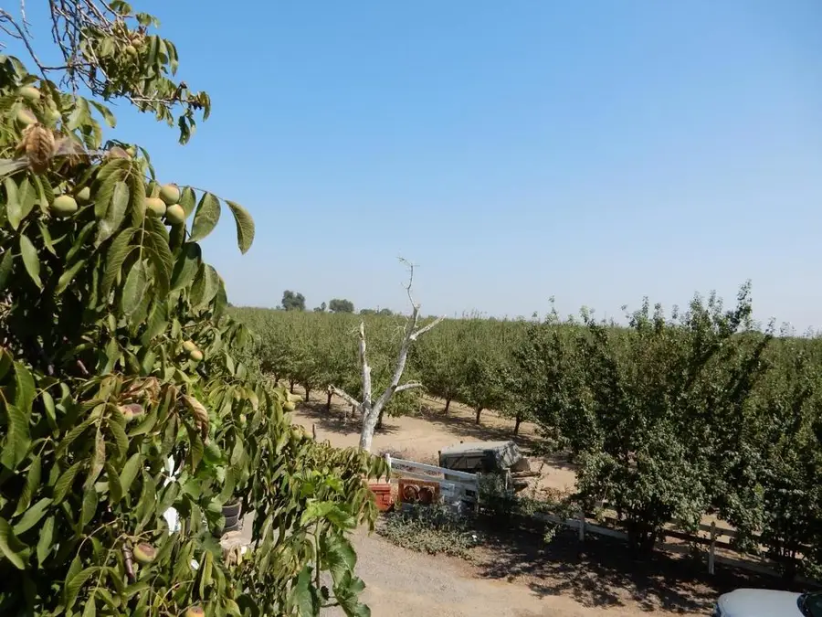 7861 Whitworth Road, Gustine, CA 95322 - #2