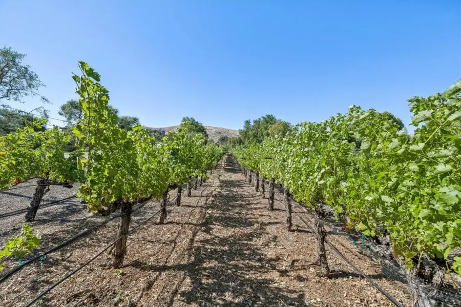 1295 Lions Peak Lane, San Martin, CA 95046 - #3