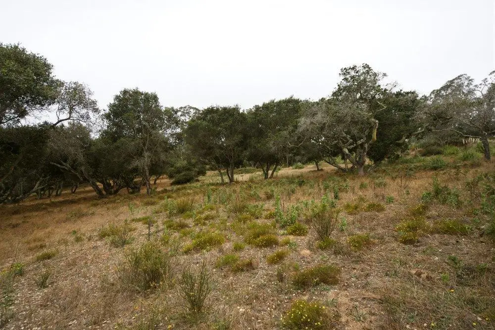 0 Valle Pacifico Road, Salinas, CA 93907 - #1