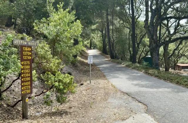 1374 Weston Ridge Road, Scotts Valley, CA 95066 - #3