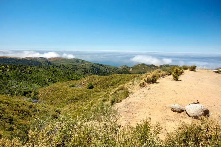 38805 Palo Colorado Road, Carmel, CA 93923 - #2