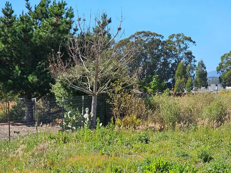 0 Marinero, Half Moon Bay, CA 94019 - #3