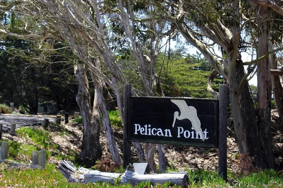 76 Pelican, Watsonville, CA 95076 - #2