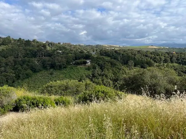 26135 Zdan Road, Carmel Valley, CA 93924 - #2